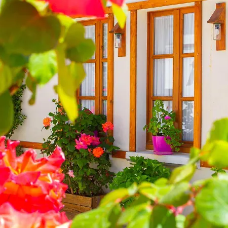 Bebej Tradicional 3* Gjirokastër