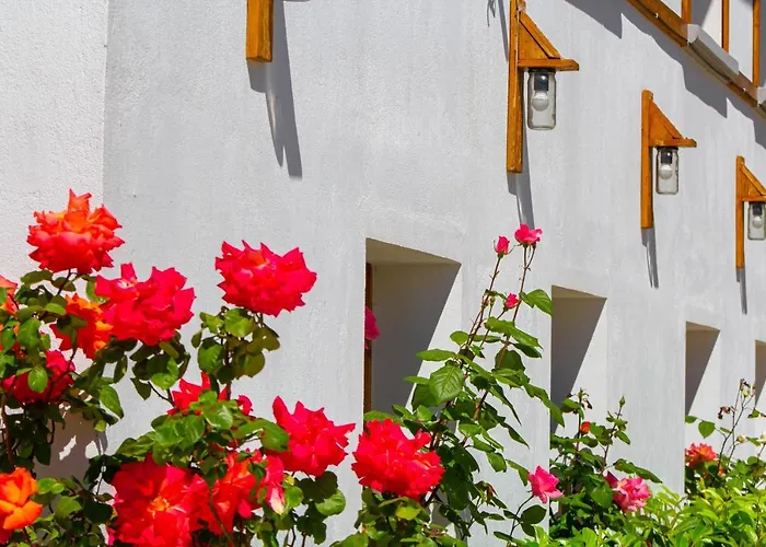 Bebej Tradicional Gjirokastër