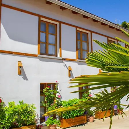 Hotel Bebej Tradicional 3*