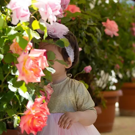 Bebej Tradicional Hotel