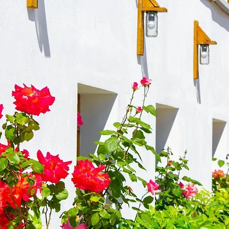Hotel Bebej Tradicional Gjirokaster